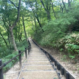 電車に一本早く間に合いそう😂