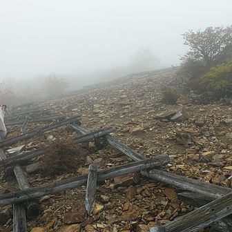 山頂はもうすぐ。