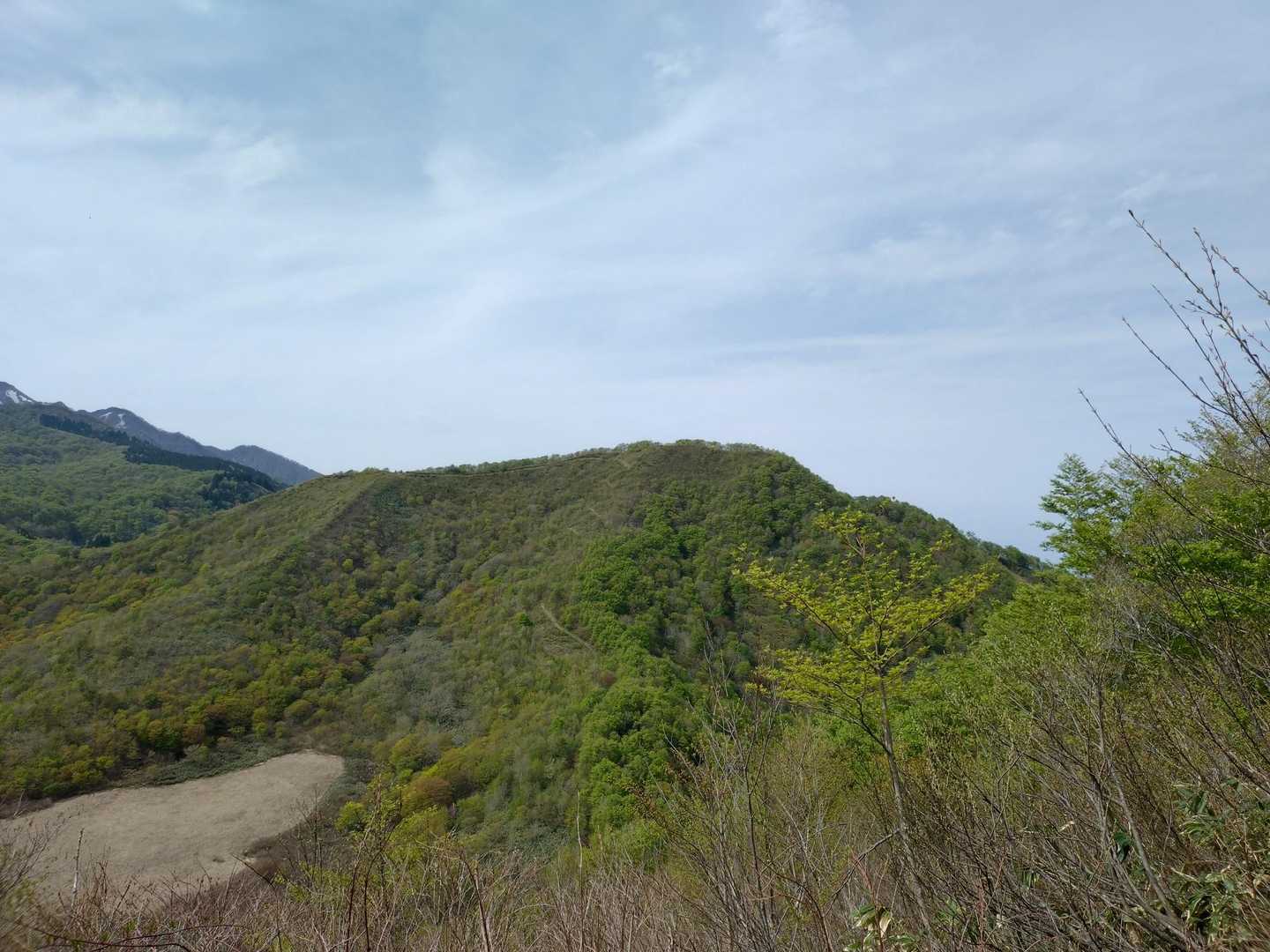 隣の象山。
気持ちは行きたいですが今日はやめときます。