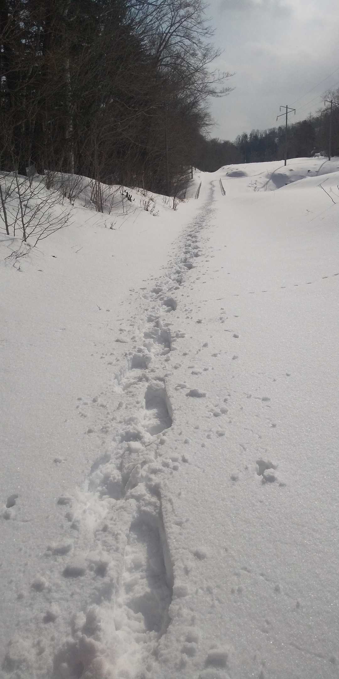 国道に沿って歩いてたけどサイクリングロードを発見したのでラッセルして切り拓く🎵😆楽しい🎵