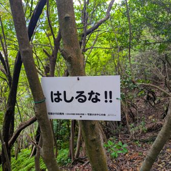 「はしるな！！」
もうちょっと、優しく言って🤣