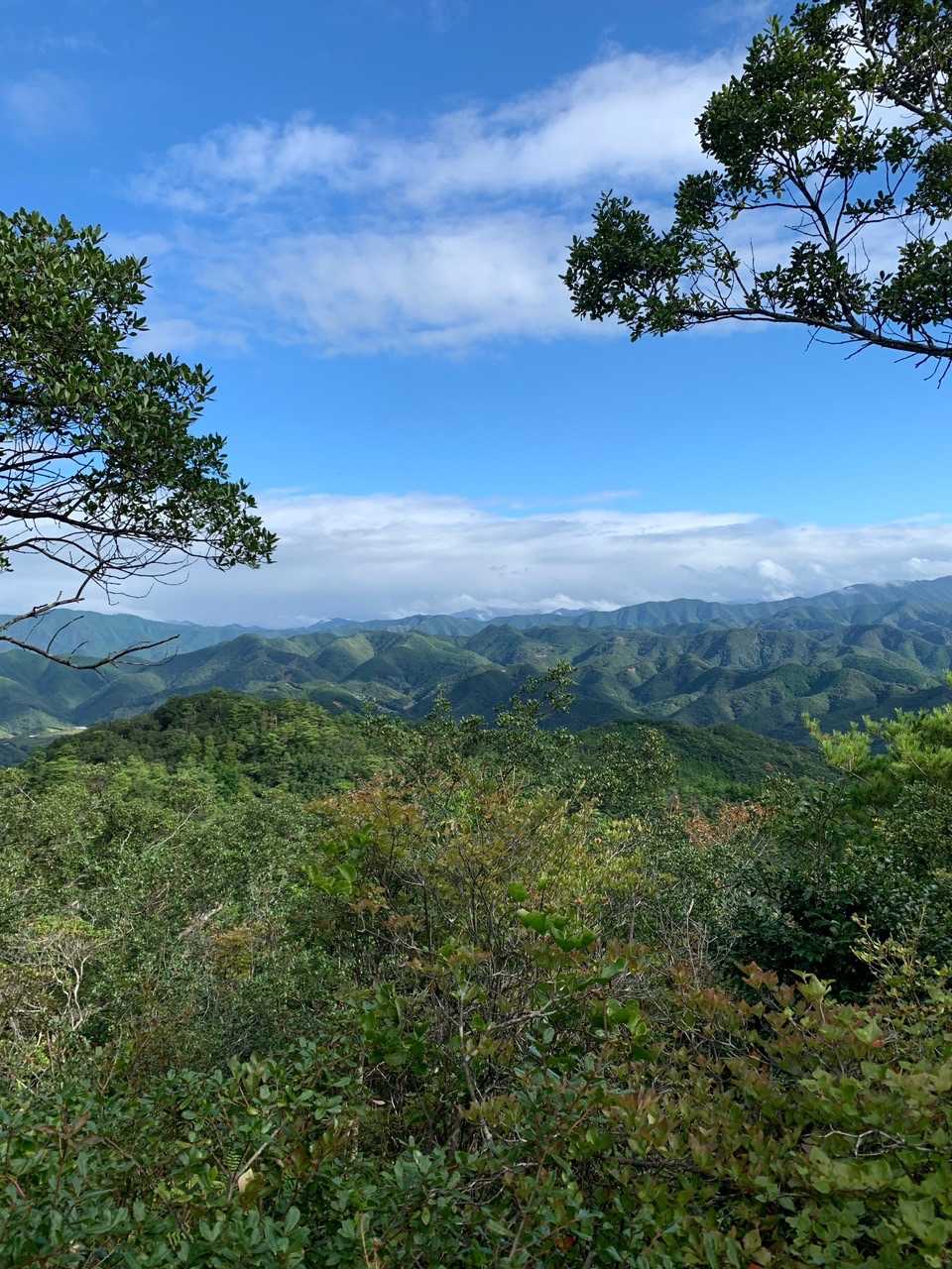 大峰奥崖の方向
