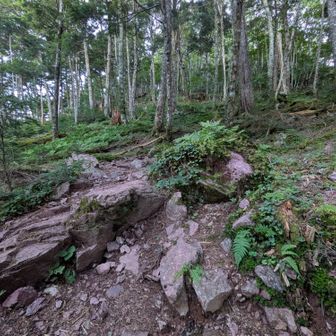 赤紫の岩