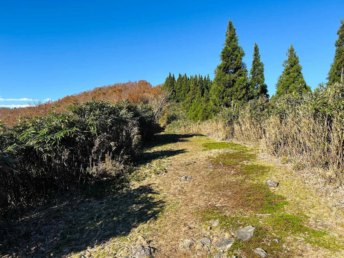 先週ドキドキして通った冠山林道の道幅と同じくらいの登山道。
(おそらくこちらの方が広い😁)
