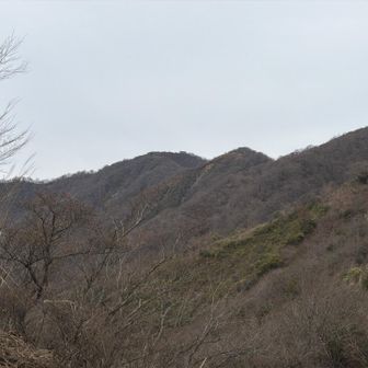 塔ノ岳。
