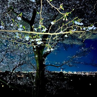 前橋の夜景🏙👀✨