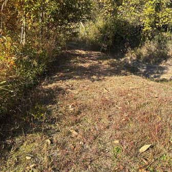 ここからはいります