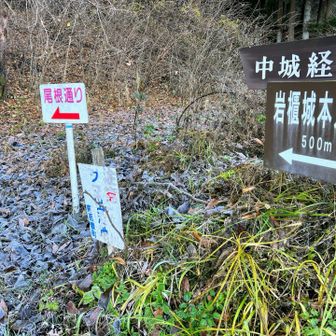 尾根通りを進みます