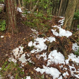 雪が少し残っていました。