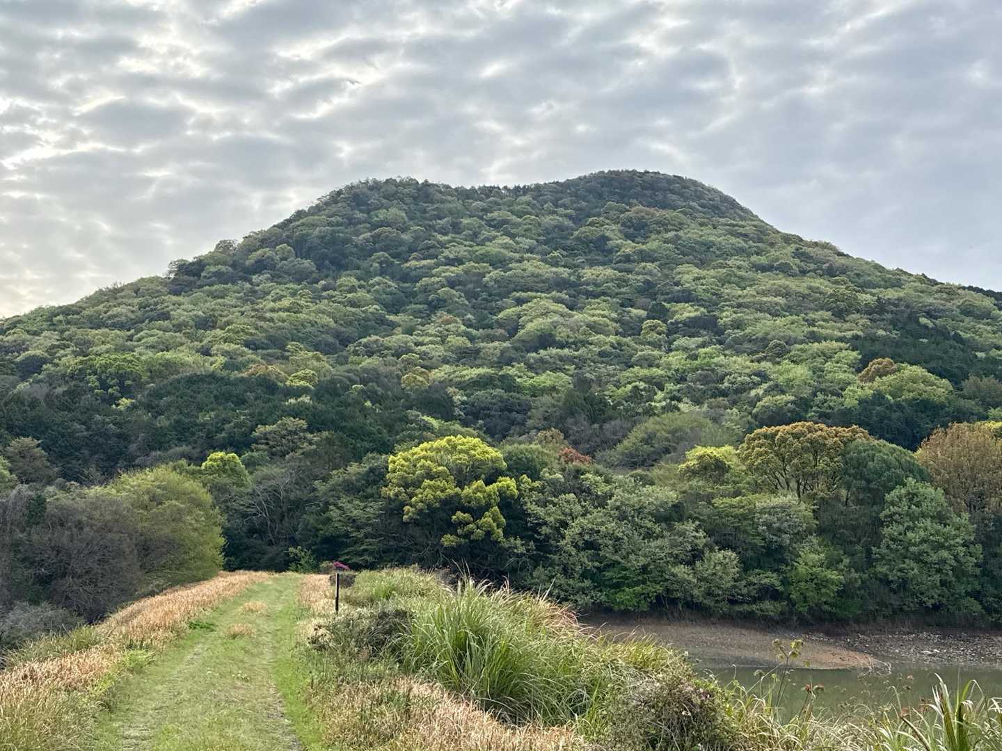 本日のお山はこちら
世の中の緑を全部集めました的に美しい。
緑の見本市