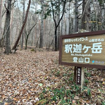 駐車場から車道を歩き30分程で登山口