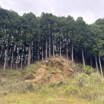 無事に登山口まで出てきました🚶🏻