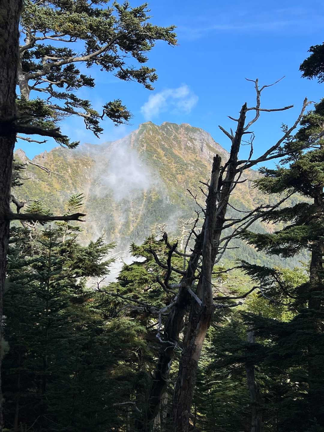 扇山でようやく赤岳を正面に捉えました👀 が、めちゃくちゃそびえ立ってるけどどこに道があるんだ笑