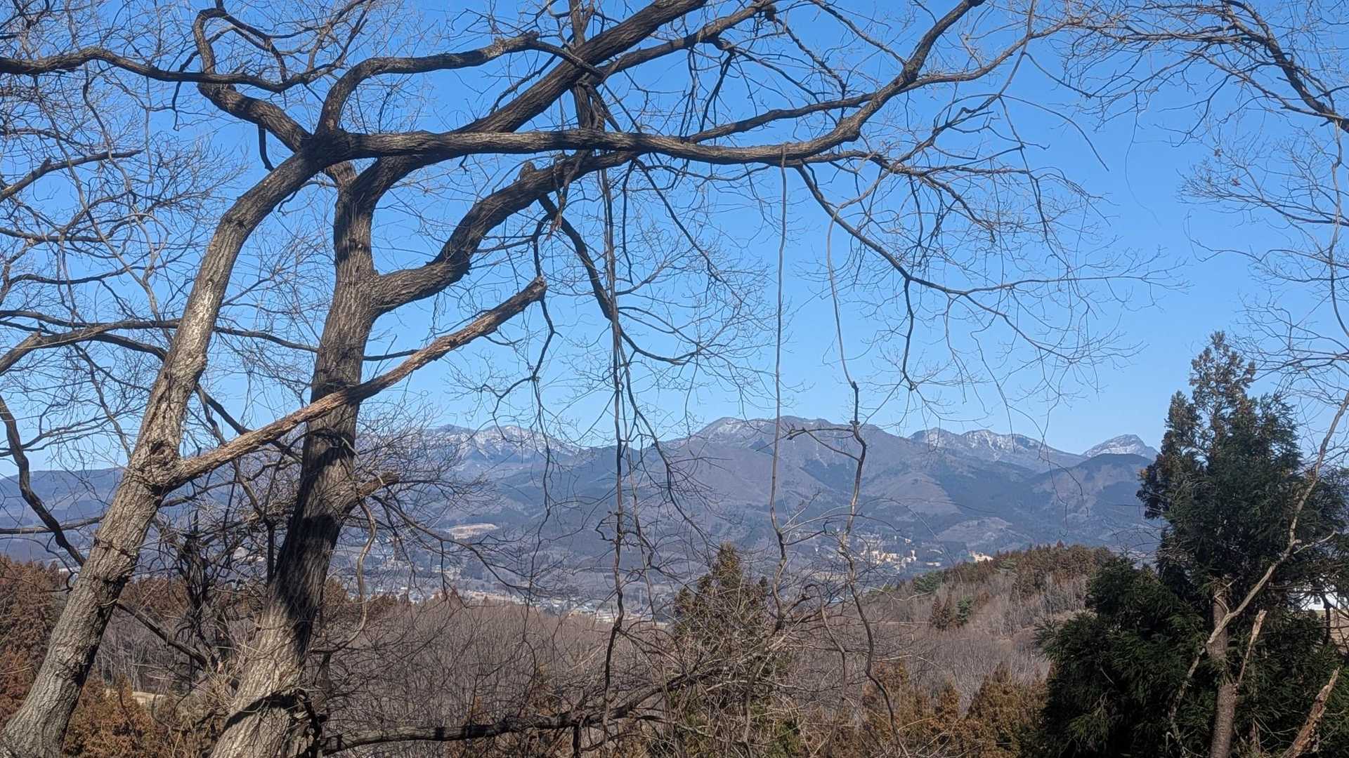 木々の隙間から榛名山