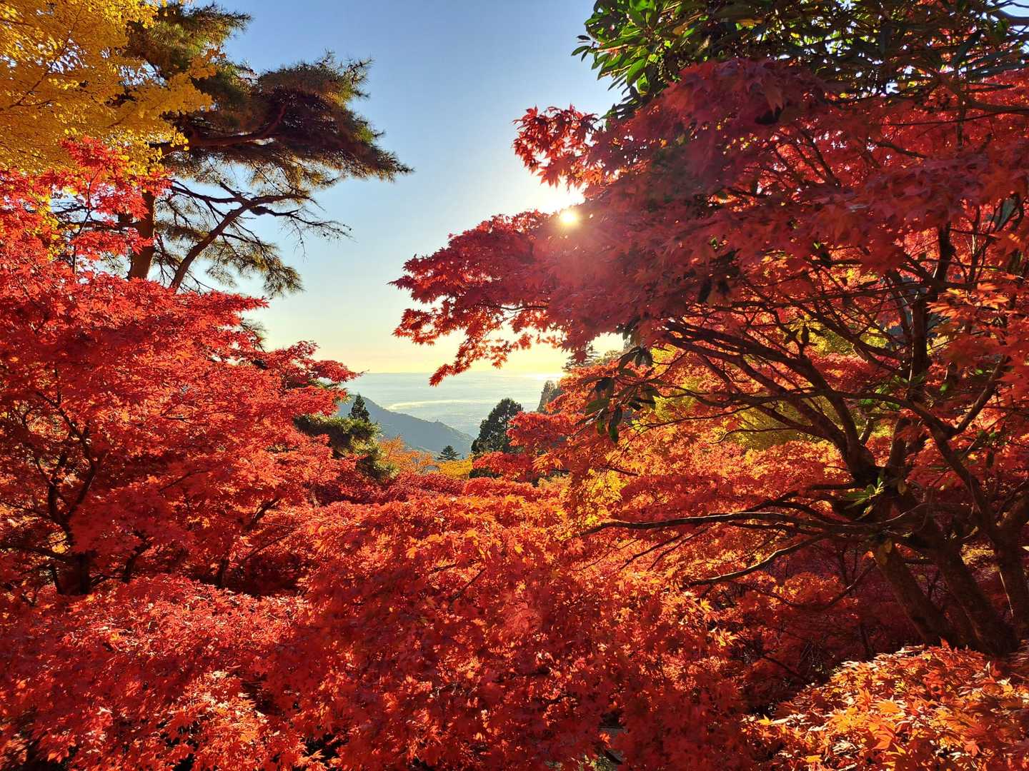 大山ケーブルバス停・大山阿夫利神社 周回コースの写真