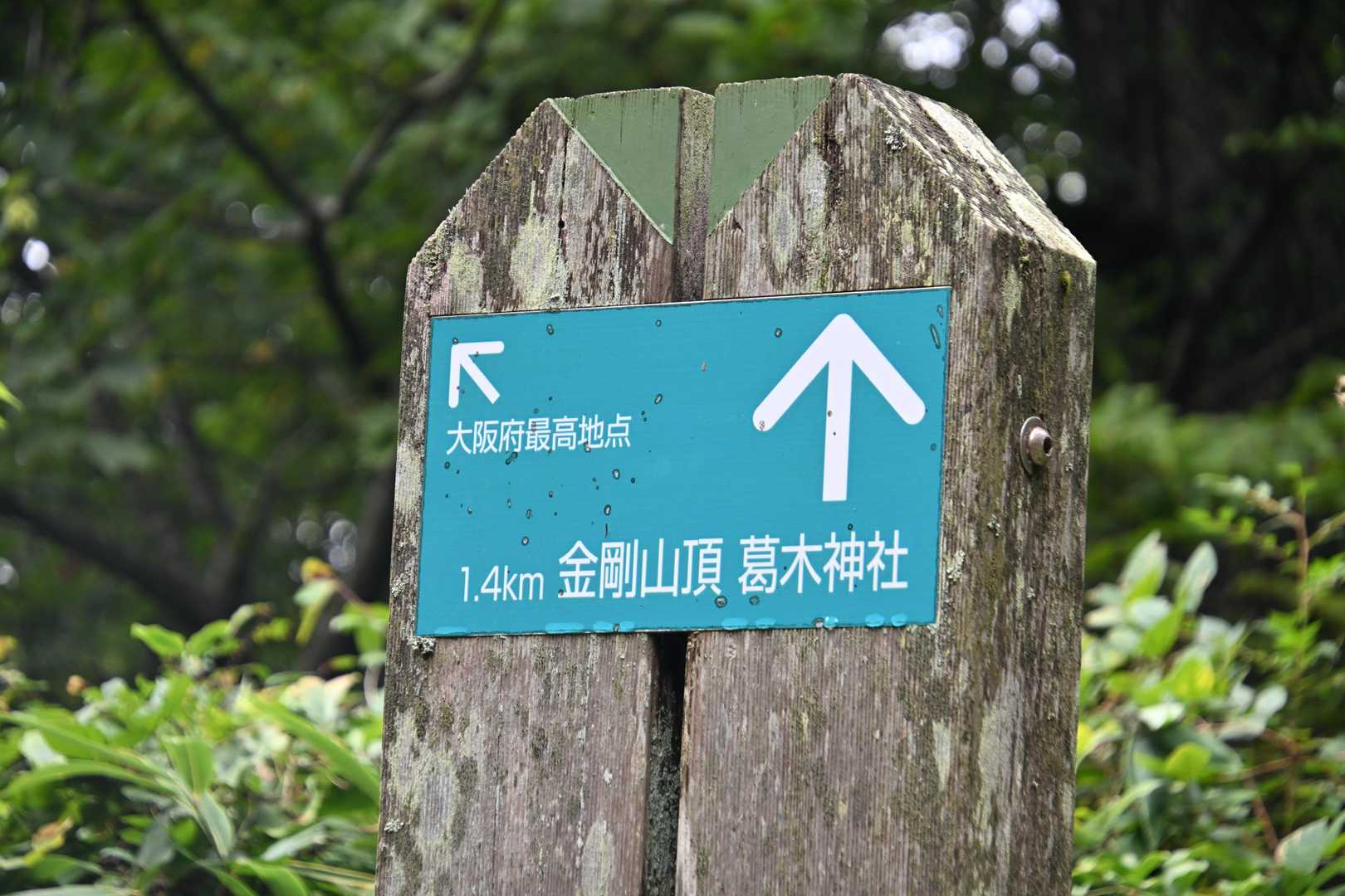 千早本道登山口-金剛山-金剛山山頂売店-転法輪寺-金剛山葛 縦走コースの写真