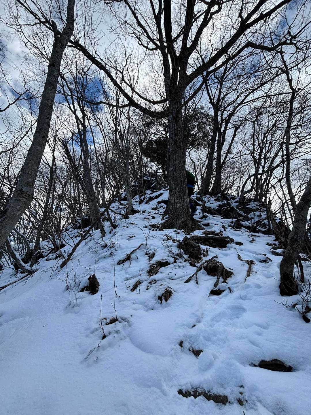 雪かぶる岩場を登る
どこ歩いたらいいねんって😐😐😐
