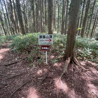 北屏風山、眺望無しです