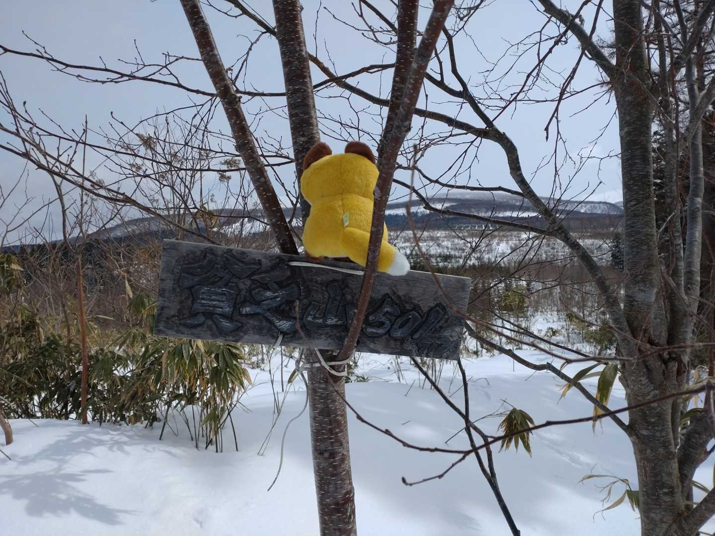 到着
㊗山頂看板復活㊗
