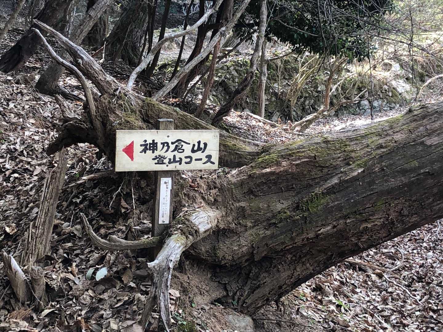 とってもわかりやすいです😊