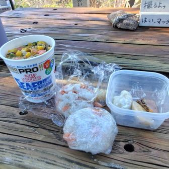 大岩山は前方開けて富士山まで見通し良く、テーブルは広々して快適なのでお弁当を食べることにしました。
朝食の残りで鮭のオニギリ。
