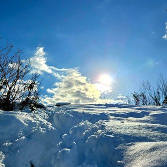 昨日の踏み跡が有り難く、坪足で充分でした❗✨