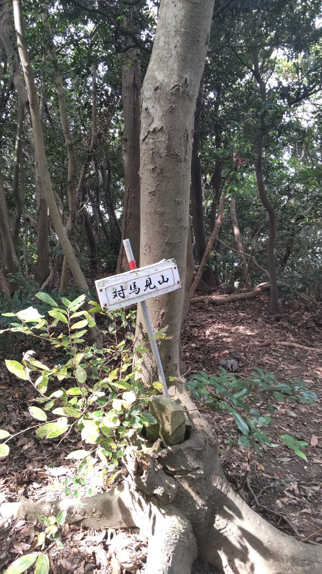 宮地嶽神社-宮地山-在自山-水落山-対馬見山-冨士白玉神社 縦走コースの写真