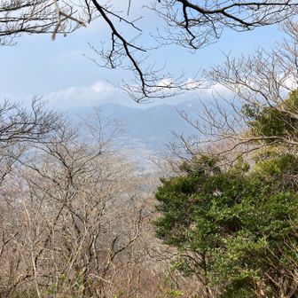 難台山から筑波山を望みますが、靄ってよく見えません🤣