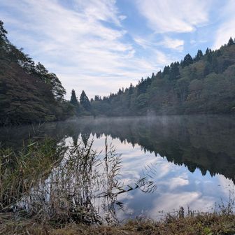 縄ヶ池。高清水山からの湧水で出来ています。
滋賀の三上山と関わる竜神伝説があるよ。
池面が穏やかな時に来れて良かった。しばしボケっと見物。