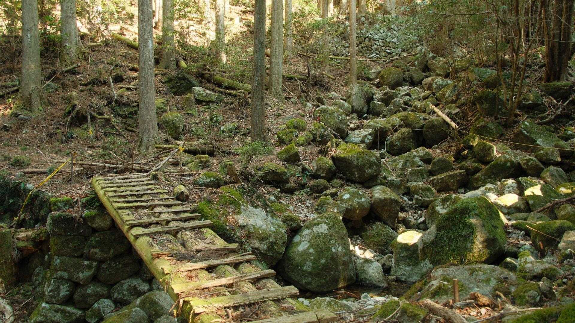 この橋は、腐っているところもあるので、注意しながら渡りました。

なだらかな道をこのまま進んで、標高を上げて行きます。