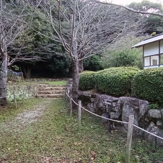 閉まったままやった門の横手の通用門が施錠してなかったのでそこを開けて、いよいよ古城山への登り口です🏯