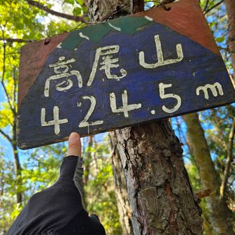 直前でYAMAPが落ちていることに気付く。最近YAMAPの調子が悪い。