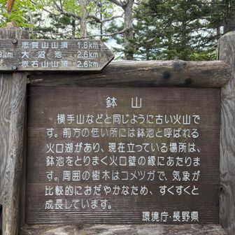 なんか着いちゃった
🐻対策の人来ないよ、🐮〜