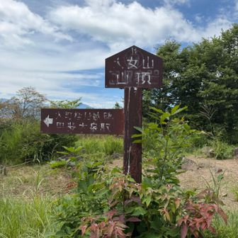 ラストの天女山に向かいます💨
このラストが死ぬ程しんどい、、笑