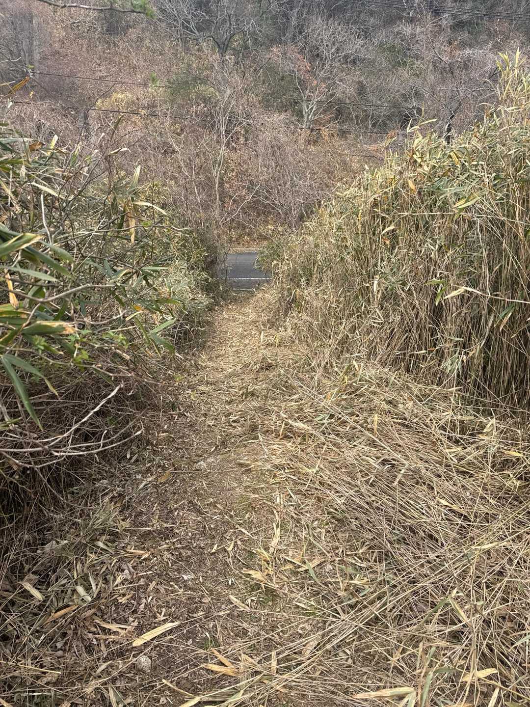 出口