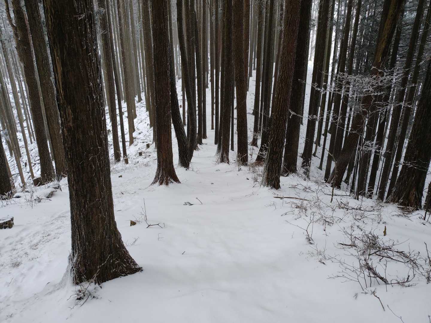 さぁ、楽しむぞ✌️