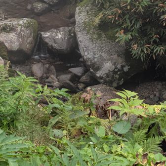 けっこう降ったのに
あんまり水流れてない