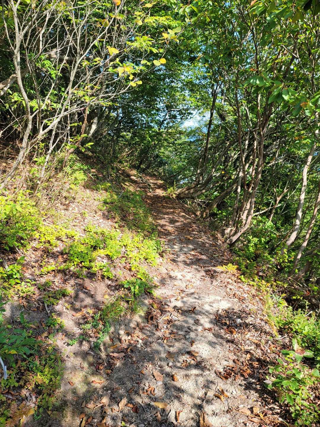 ちなみに今日の気温30℃☀️