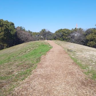 双子山山頂への気持ちいい散策路