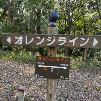 オレンジライン、やりたい。