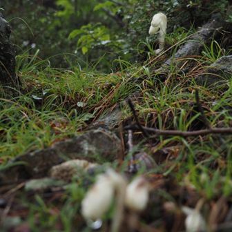けっこう沢山あったな…