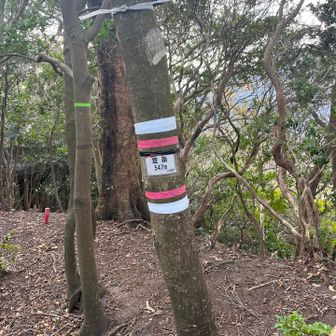 寄らなくても良い笠岳