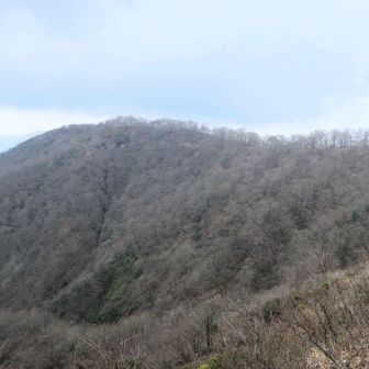 鍋割山の稜線はやっぱりきれい