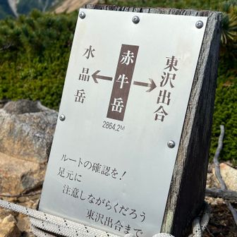 東沢出合まで降ります