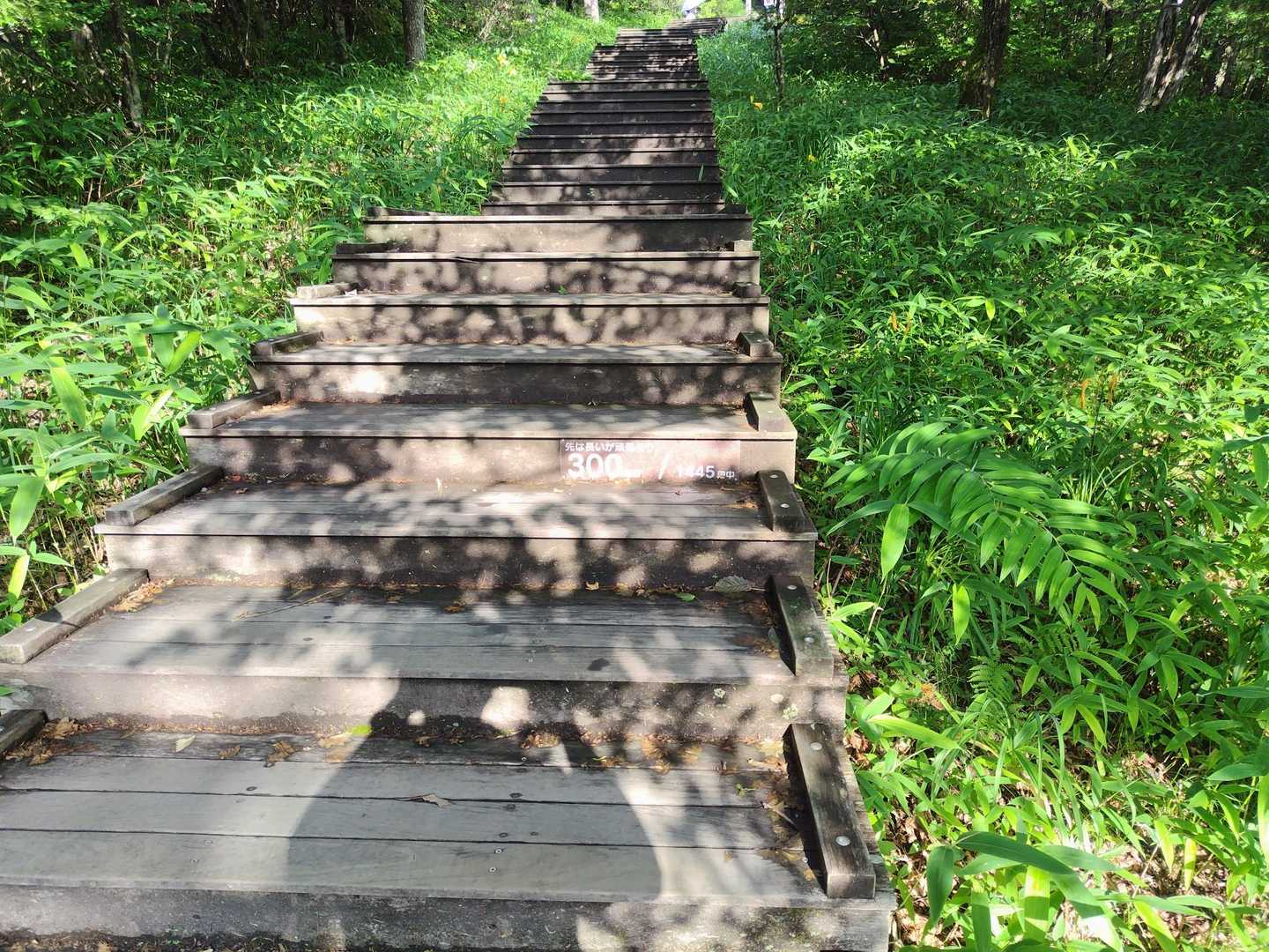 まだ300段