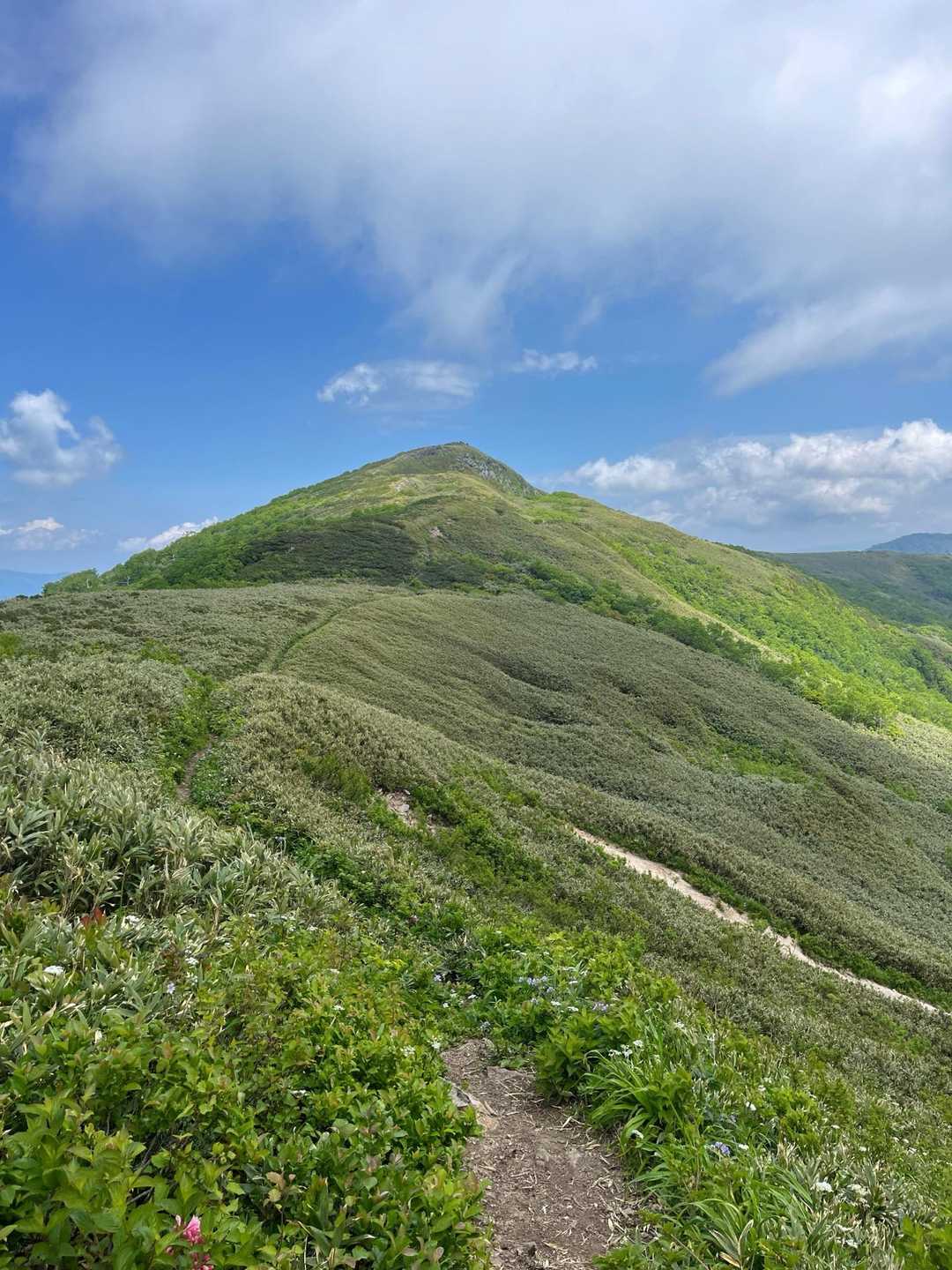 山頂はあちら👉