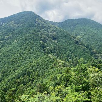 で、本日の目的峰の両座。いやこれまだ結構登るなあ。