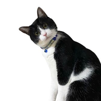 nao (twins なおちゃん)