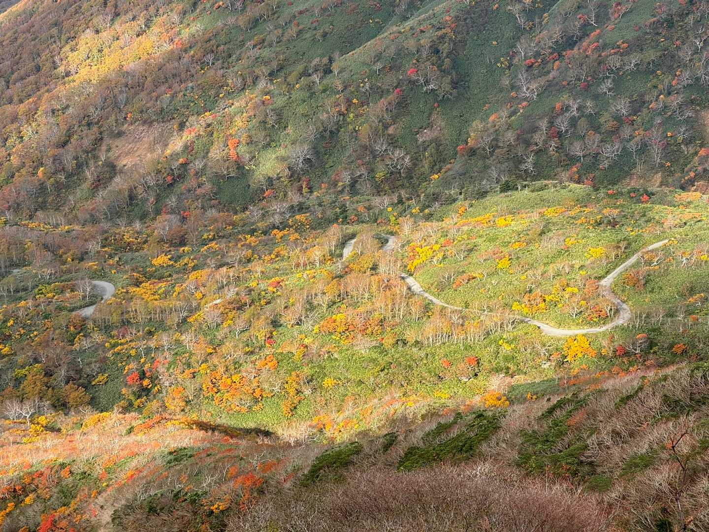 下山バス停からの景色