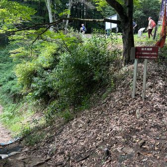 帰りは左側の登山道から下ります